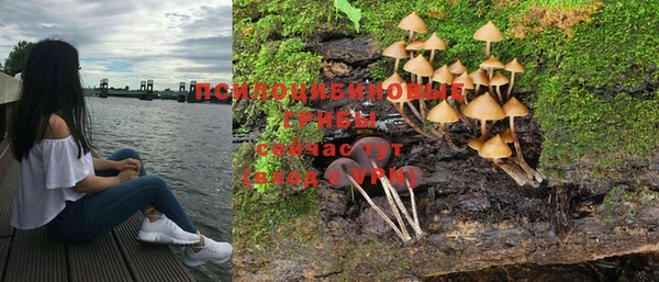 a pvp Инсар