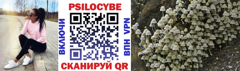 Псилоцибиновые грибы Psilocybine cubensis  Купить закладки  Нытва 